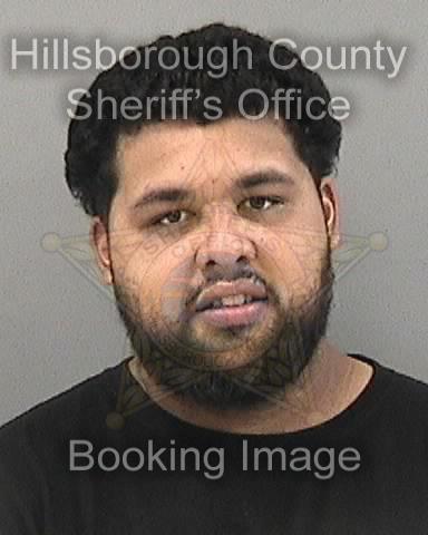 CESAR DANIEL AVILA of GIBSONTON booked for