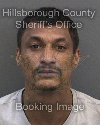 JORDAN MICHAEL ROZIER of LUTZ booked for