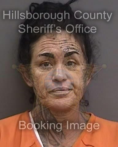 ELIZABETH RENEE SANTOS of TAMPA booked for