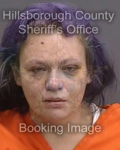 SHAILYNN KIARA MARIE WARD of TAMPA booked for