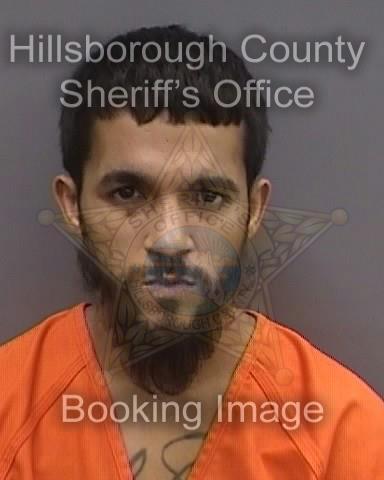 ANGEL RAFAEL ROLON of GIBSONTON booked for