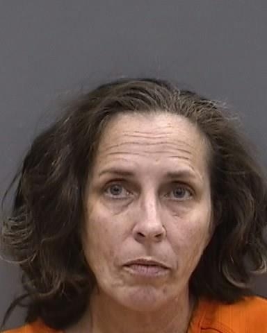 MICHELLE COLLINS booked for 0.00