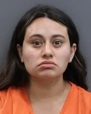 ELISABETH QUINTERO of TAMPA booked for 0.00