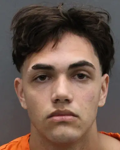 GABRIEL DE-LA MORA booked for 500.00