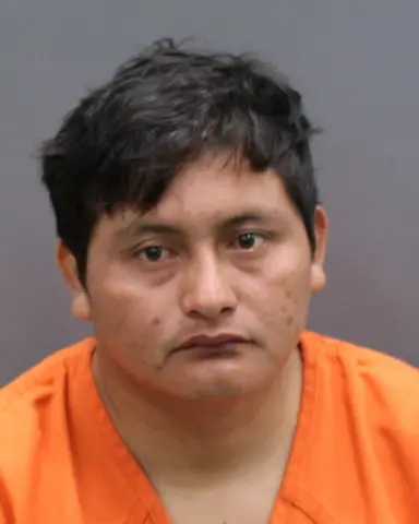 MIGUEL MANUEL-ORTIZ of WIMAUMA