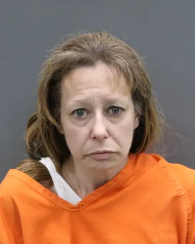 MELISSA MCCARTHY booked for 500.00